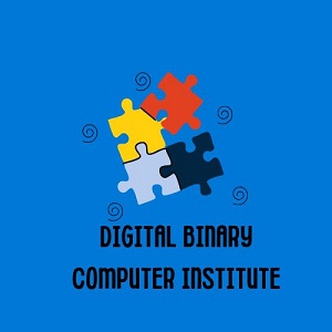 DIGITAL BINARY COMPUTER INSTITUTE