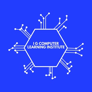 I G COMPUTER LEARNING INSTITUTE