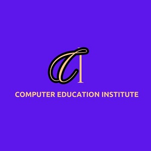 COMPUTER EDUCATION INSTITUTE